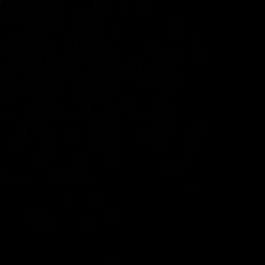 Meet your Posher, Sgarafelis